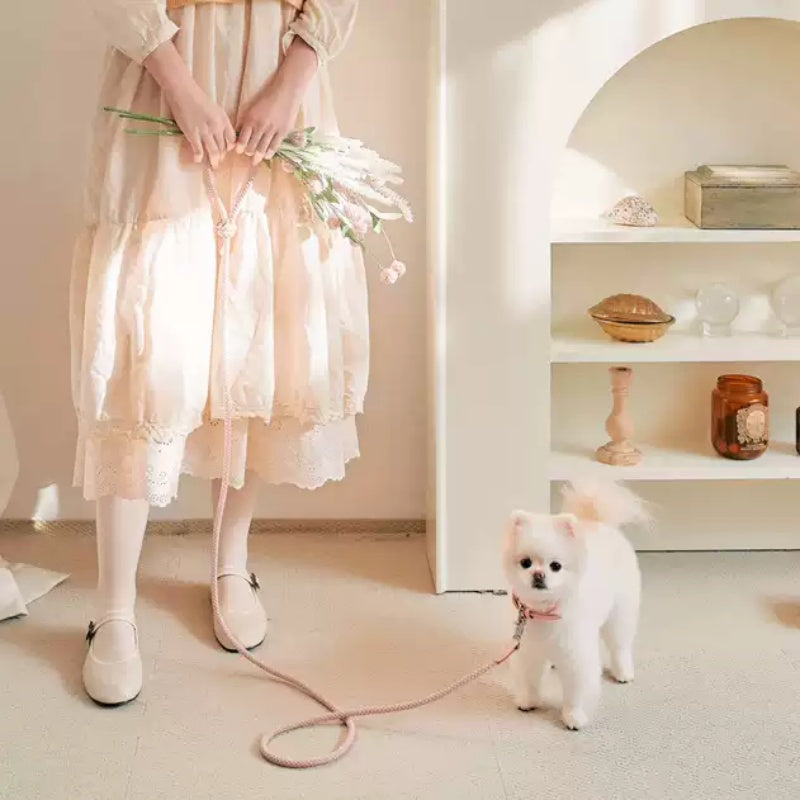 KFX-7063101 Leather Dog Collar with Hand-Holding Rope Leash for Small to Medium Pets - Pink, Blue, Purple Options