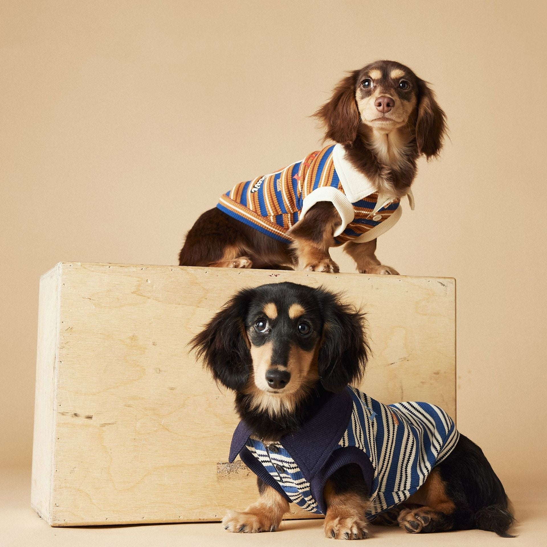 KFX-7072957 Cute Striped Polo Shirt for Dogs - Sleeveless Cotton Vest in Blue and Brown