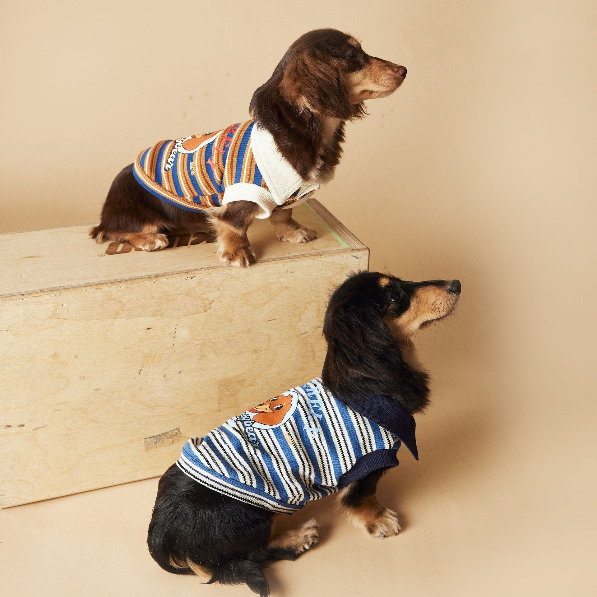 KFX-7072957 Cute Striped Polo Shirt for Dogs - Sleeveless Cotton Vest in Blue and Brown