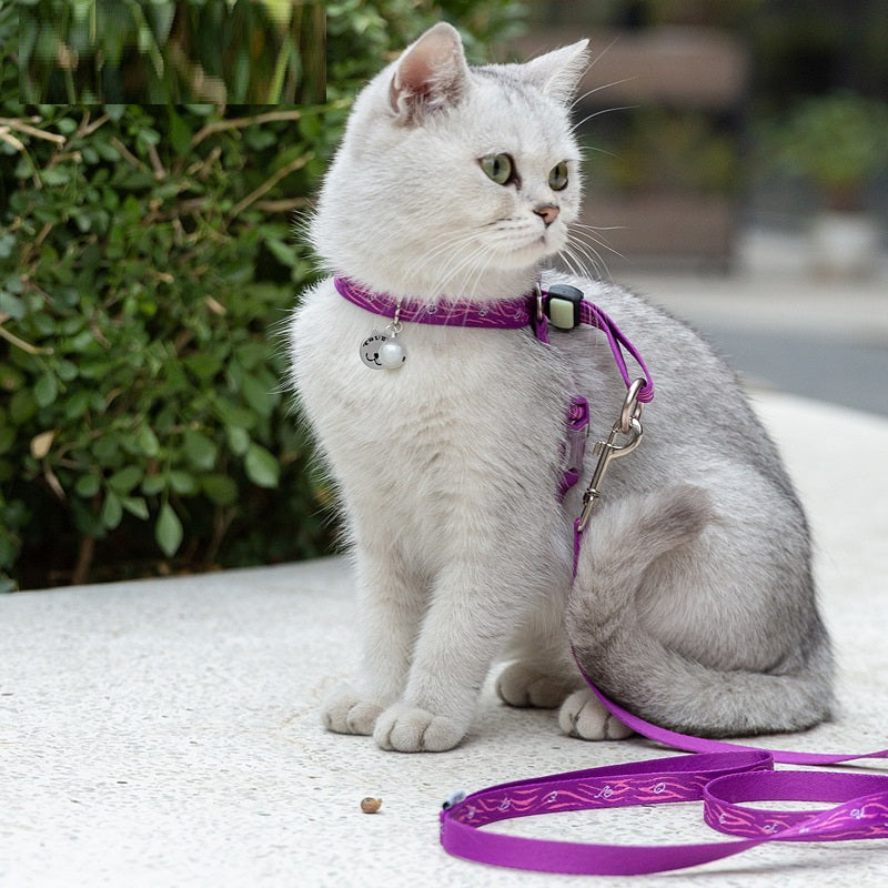 KFX-7095869 Adjustable Pet Chest Strap with Leash for Small Dogs and Cats in Various Colors