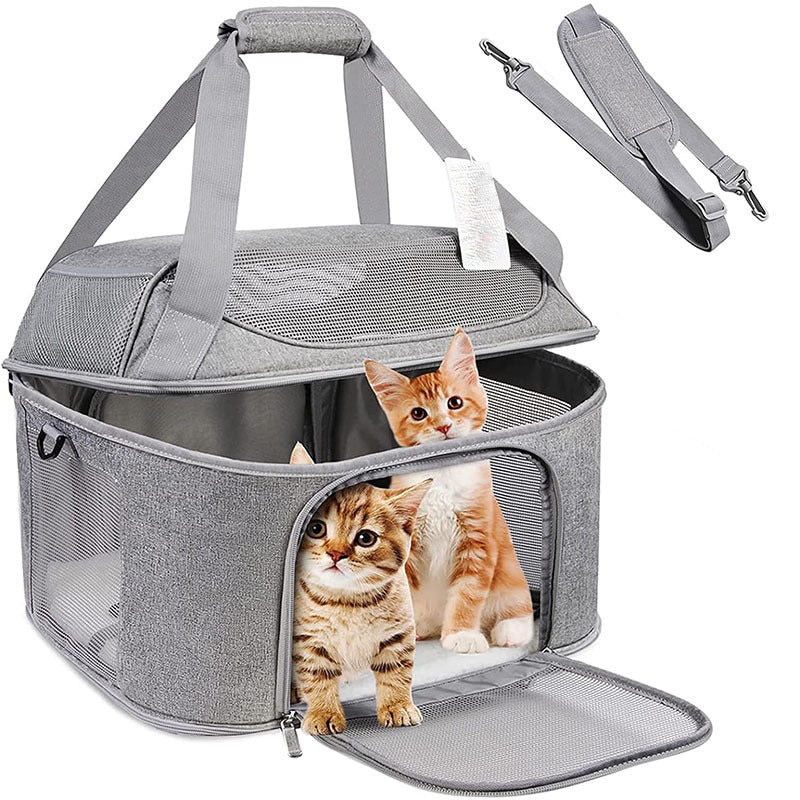 KFX-7281725 Breathable Portable Dog and Cat Backpack Carrier Bag with Stiff Base and Frame