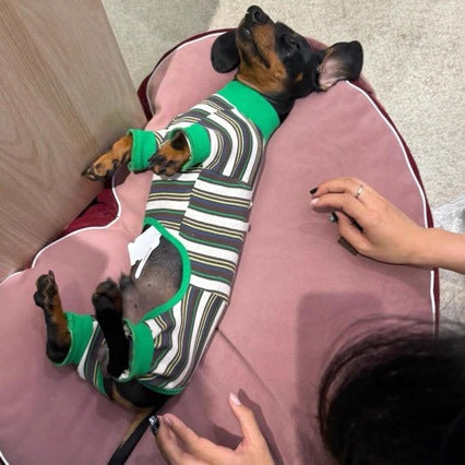 KFX-7302333 Striped Warm Vest for Dogs - Cozy Autumn and Winter Pet Clothing