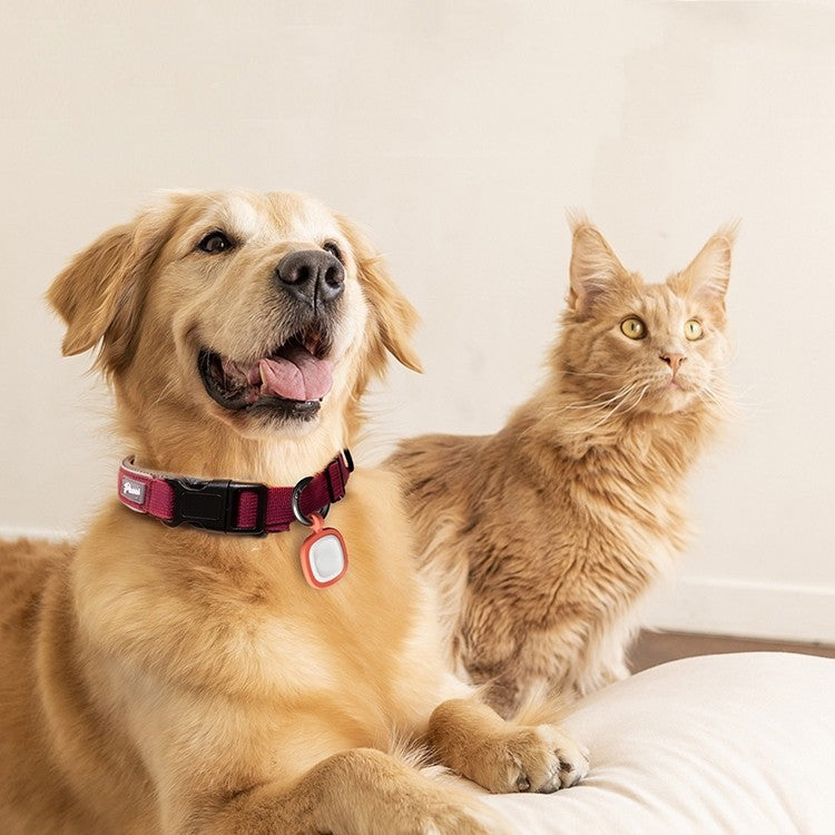 KFX-7433277 Anti-Loss Silicone ID Card for Pets with Two-Dimensional Code - Multiple Color Options