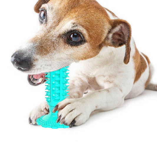 KFX-7519037 Sounding Dog Toothbrush Toy for Effective Molar Cleaning - TPR Material, Multiple Colors