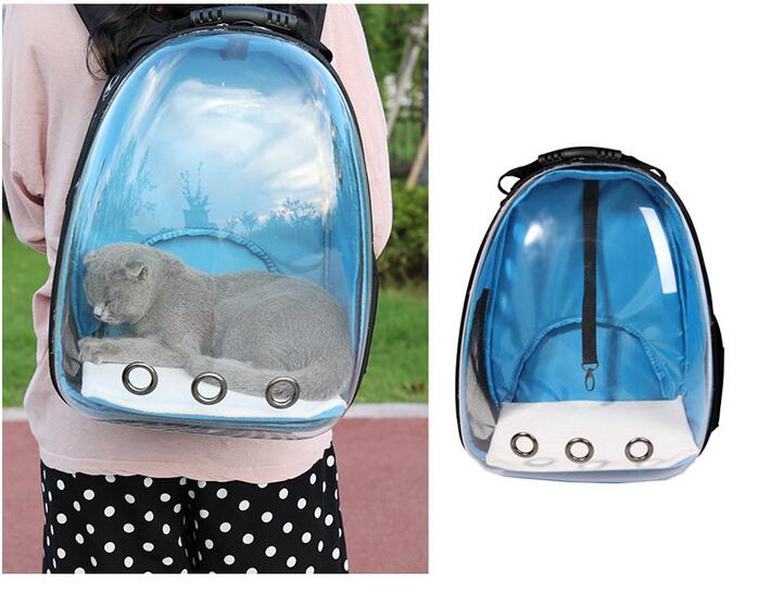 KFX-7751997 Transparent Medium Hardness Pet Backpack in Various Colors