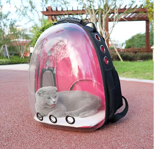 KFX-7751997 Transparent Medium Hardness Pet Backpack in Various Colors