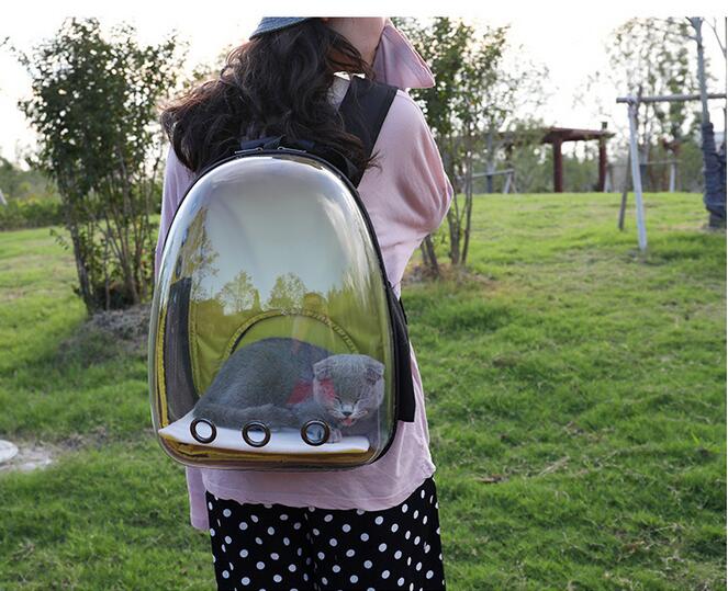 KFX-7751997 Transparent Medium Hardness Pet Backpack in Various Colors