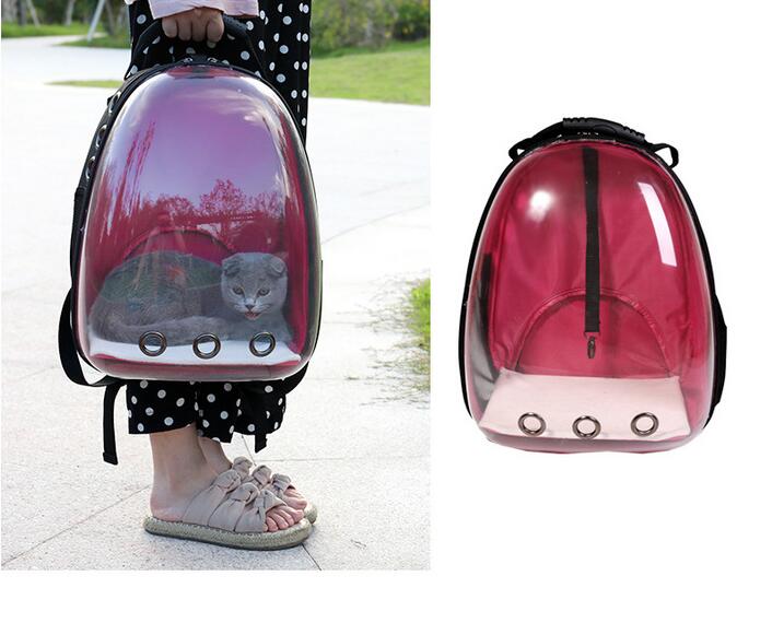 KFX-7751997 Transparent Medium Hardness Pet Backpack in Various Colors