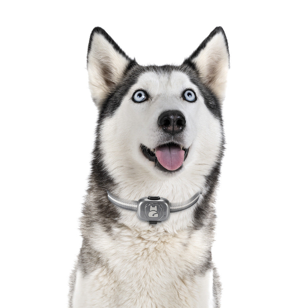 KFX-7793725 GPS Pet Locator with Vibration Alarm and Waterproof Design, ABS Material, IP67, 100-Hour Battery Life