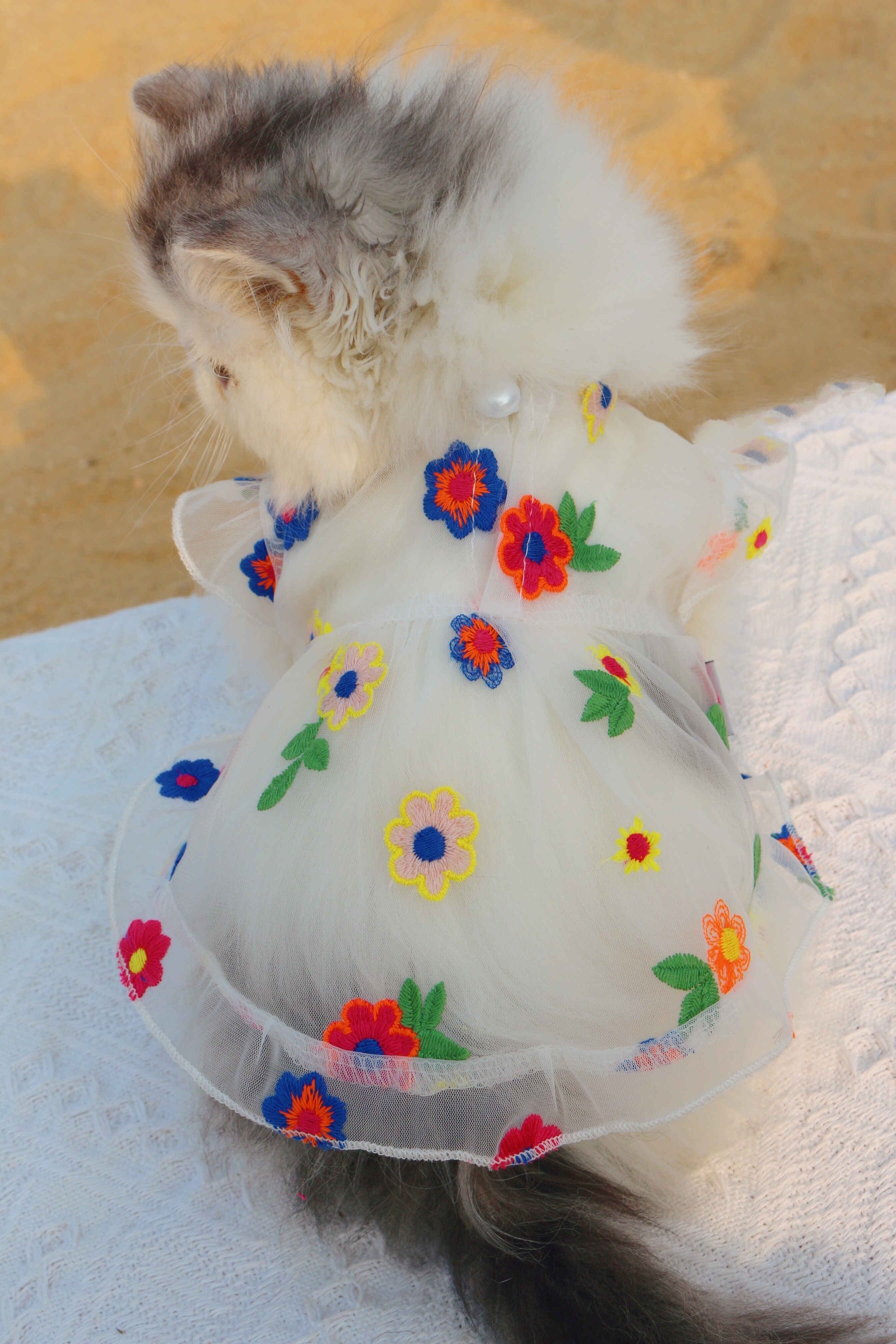 KFX-8030781 Flower Embroidery Dress for Cats with Hand-Woven Straw Hats