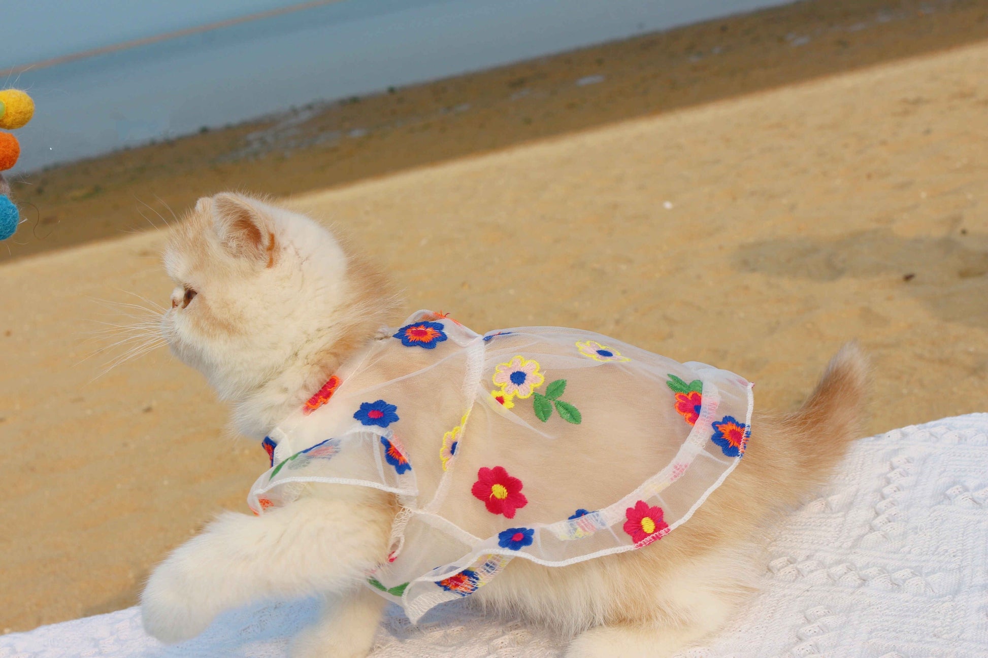 KFX-8030781 Flower Embroidery Dress for Cats with Hand-Woven Straw Hats