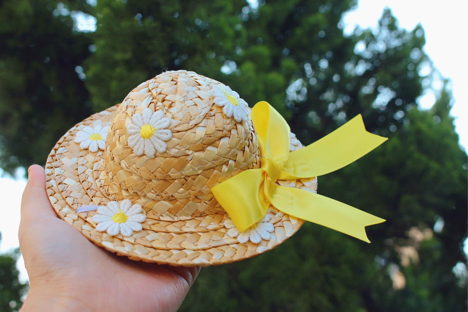 KFX-8030781 Flower Embroidery Dress for Cats with Hand-Woven Straw Hats