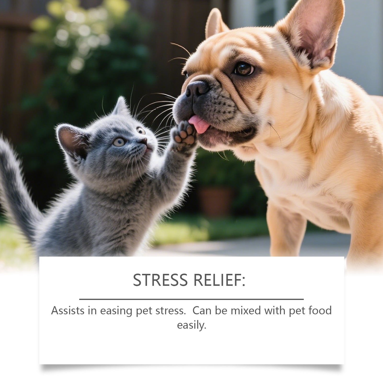 KFX-8056253 Gentle Care Drops for Cats and Dogs - Nourishing and Soothing Daily Support