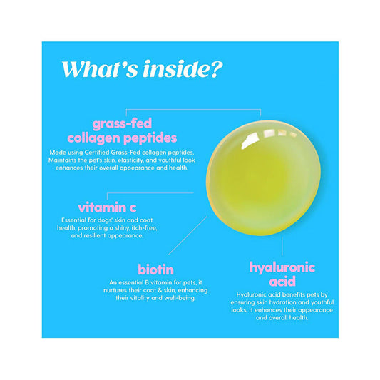 KFX-8121789 Pet Collagen Drops for Healthy Skin and Joints