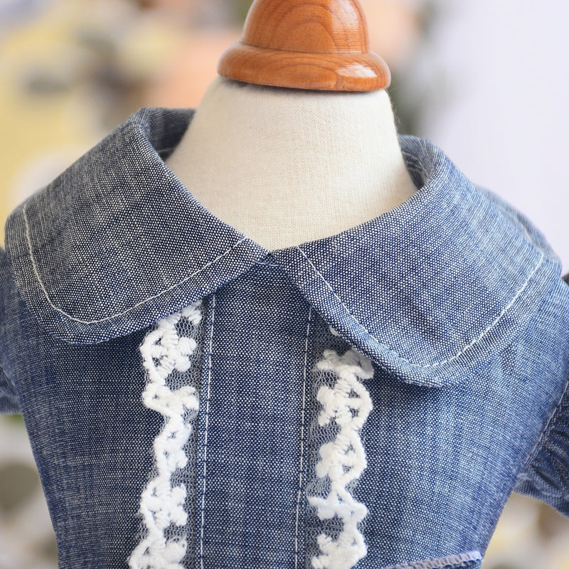 KFX-8129085 Pet Denim Summer Dress with Flying Sleeves for Small Dogs