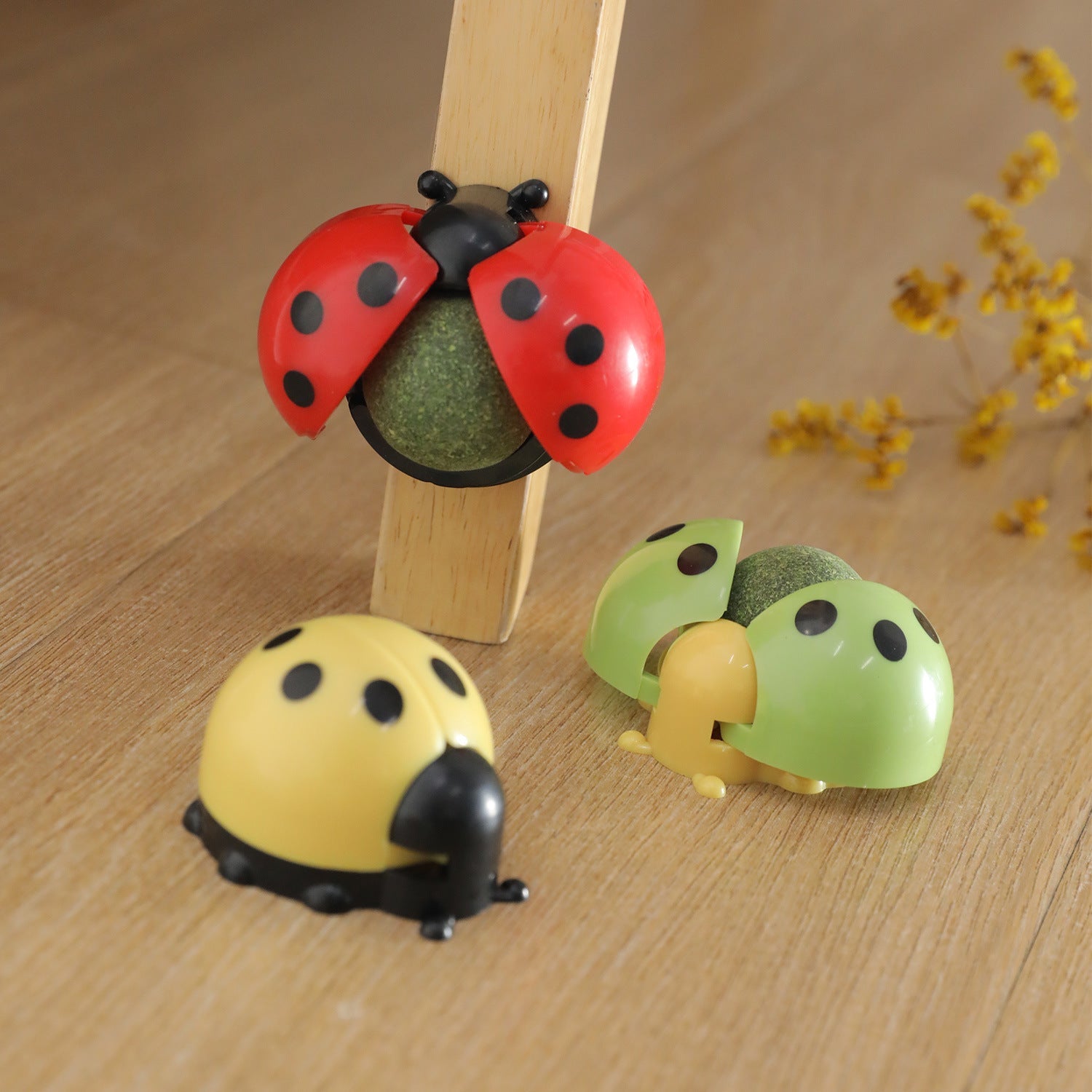 KFX-8207165 Ladybird Catnip Ball Toy for Pet Relaxation and Dental Care - Various Colors Available
