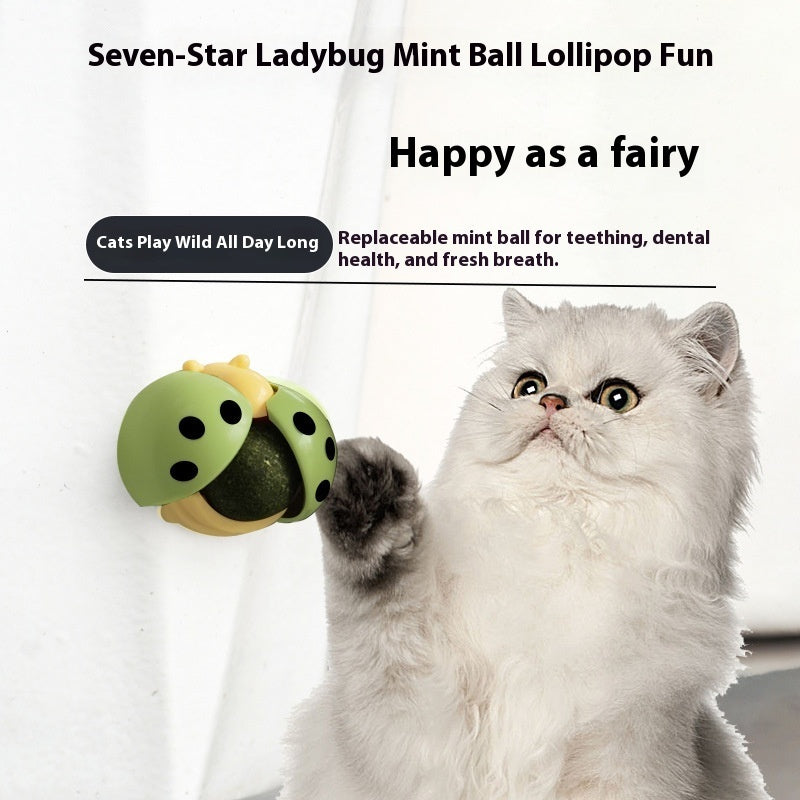 KFX-8207165 Ladybird Catnip Ball Toy for Pet Relaxation and Dental Care - Various Colors Available