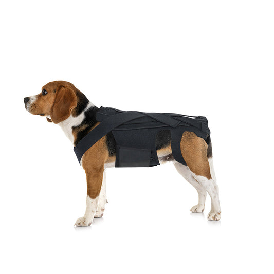 KFX-8213949 Dog Back Brace for IVDD, Arthritis, Back Pain, and Surgical Recovery - Adjustable Support for Stability and Comfort