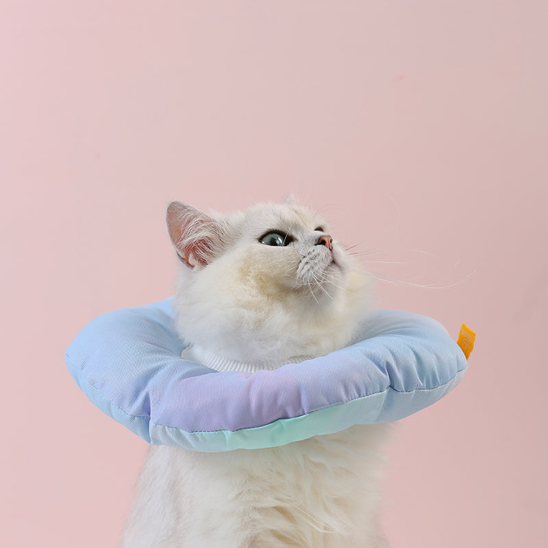 KFX-8313149 Rainbow Gradient Soft Waterproof Pet Sterilization Ring for Cats and Small Dogs