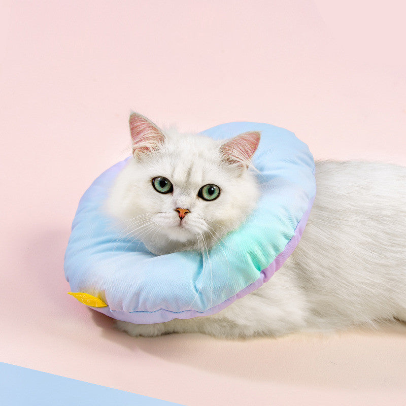 KFX-8313149 Rainbow Gradient Soft Waterproof Pet Sterilization Ring for Cats and Small Dogs