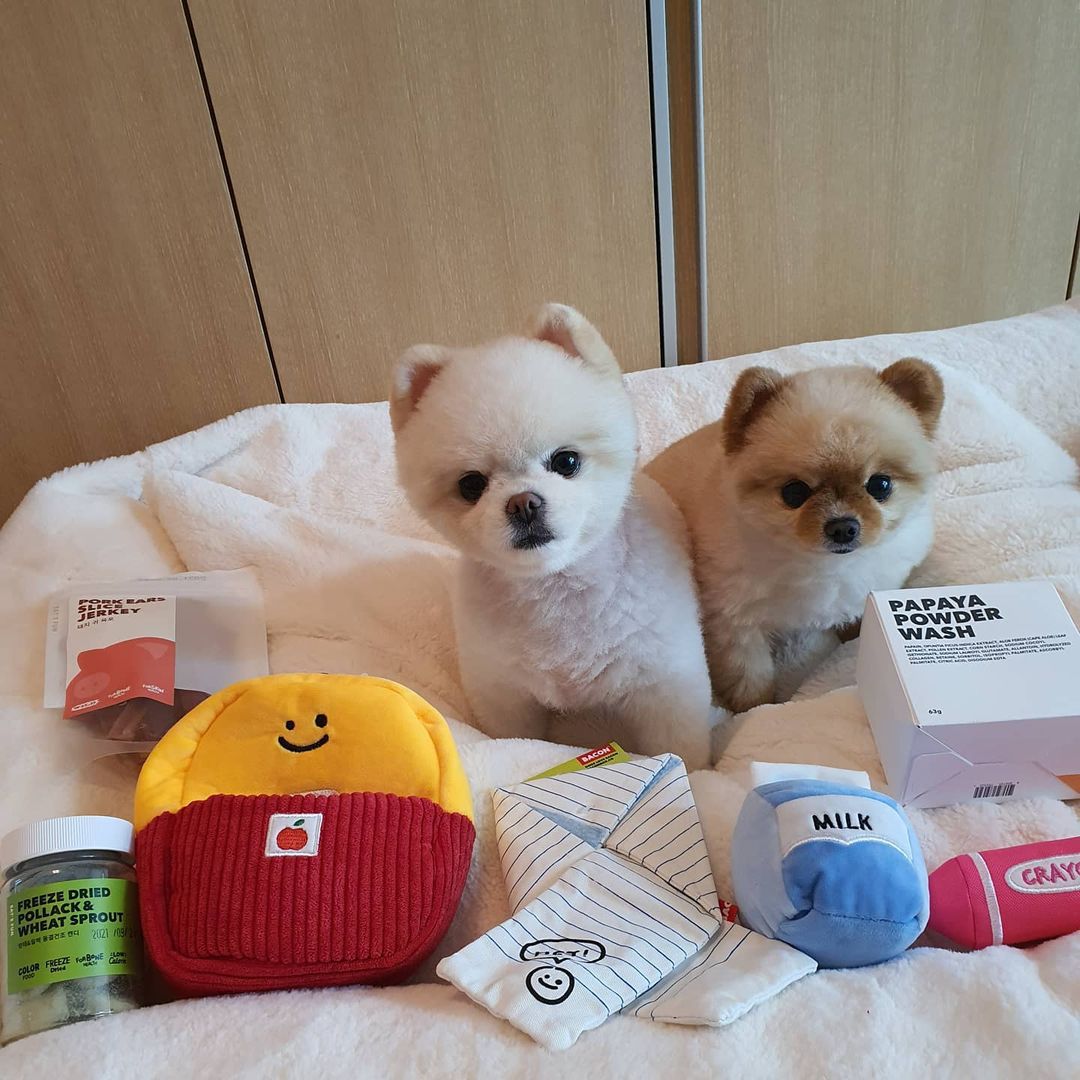 KFX-8338237 Plush School Bag Toy Set for Dogs - Three Pencil-Shaped Plush Toys