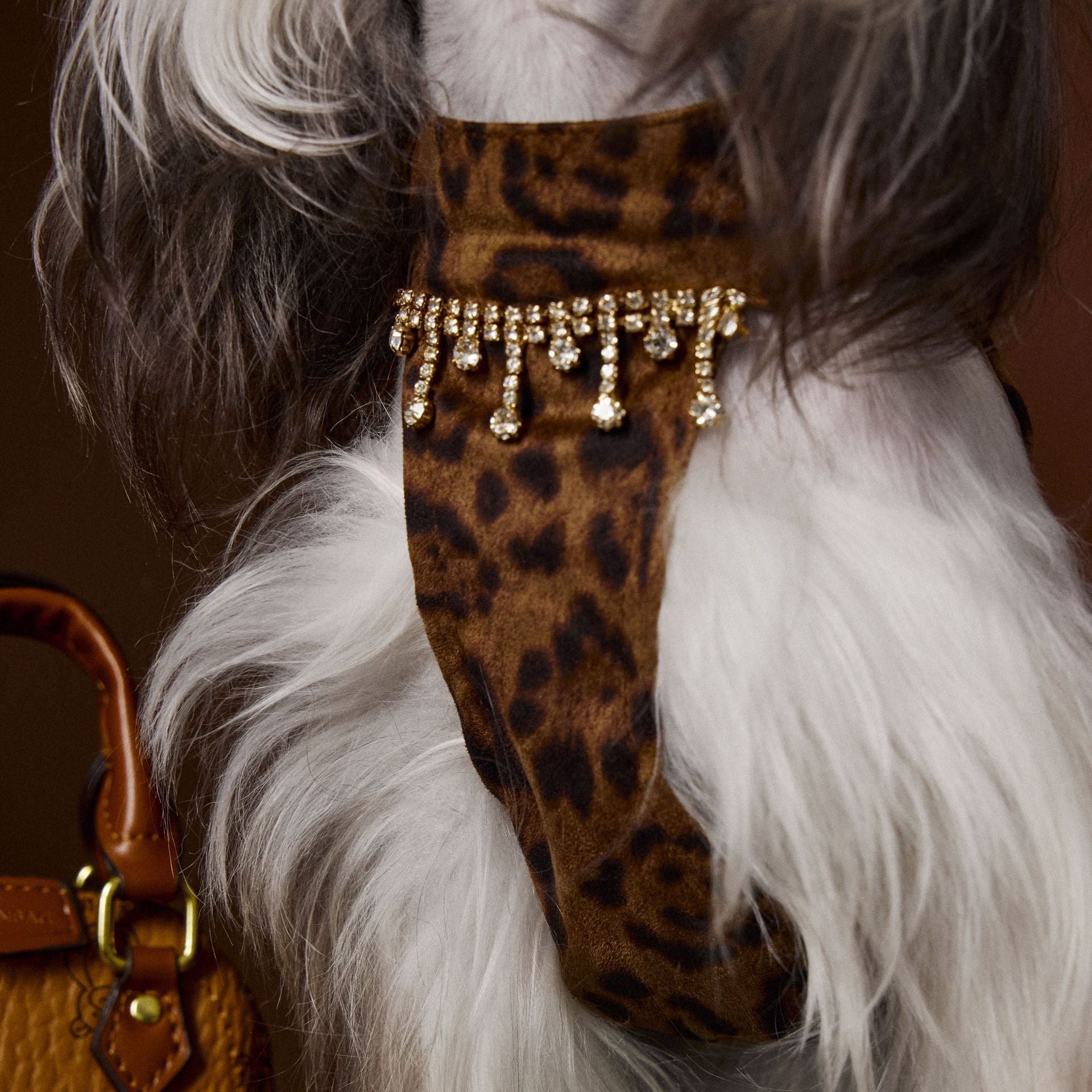 KFX-8522301 Autumn Leopard Print Dress for Dogs - Casual Polyester Skirt, Multiple Sizes Available