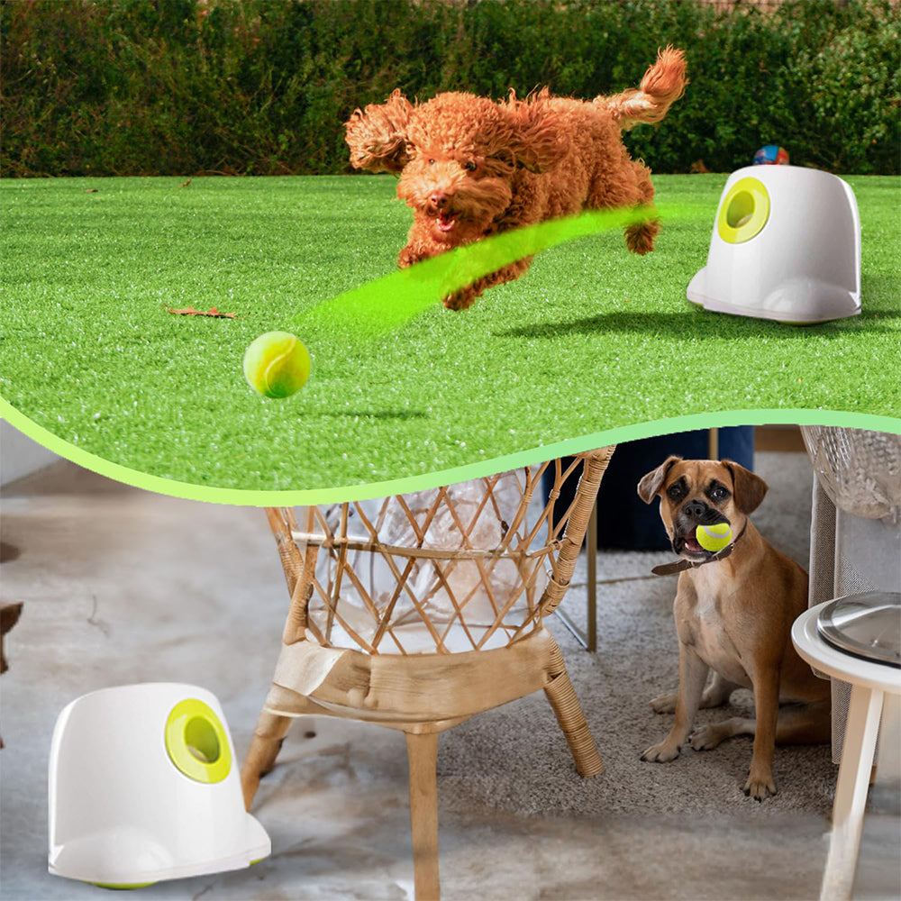 KFX-8576189 Automatic Electric Mini Tennis Throwing Machine for Pets - Lightweight and USB-Powered