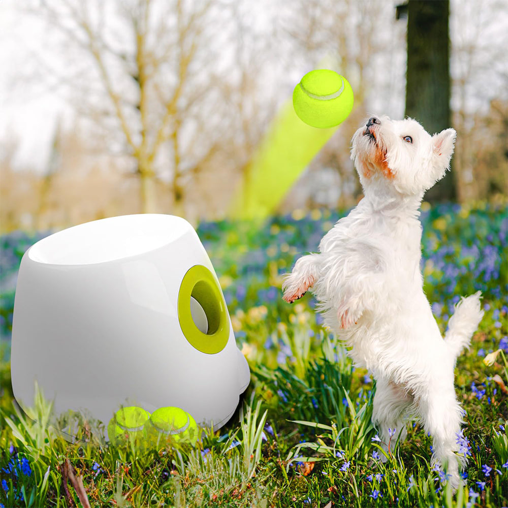 KFX-8576189 Automatic Electric Mini Tennis Throwing Machine for Pets - Lightweight and USB-Powered