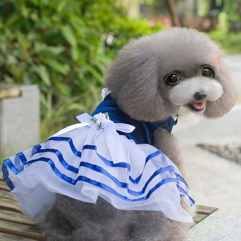 KFX-8686141 Spring and Summer Lightweight Dress for Small Dogs - Princess Style, Multiple Sizes Available