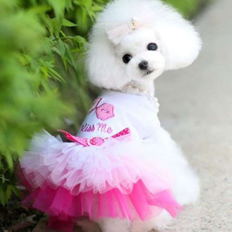 KFX-8686141 Spring and Summer Lightweight Dress for Small Dogs - Princess Style, Multiple Sizes Available