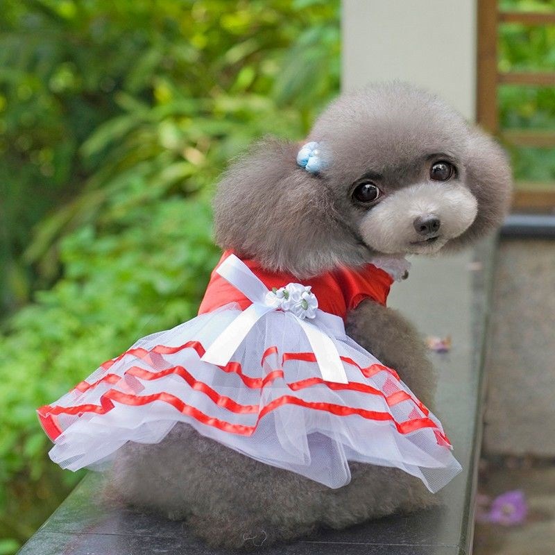 KFX-8686141 Spring and Summer Lightweight Dress for Small Dogs - Princess Style, Multiple Sizes Available