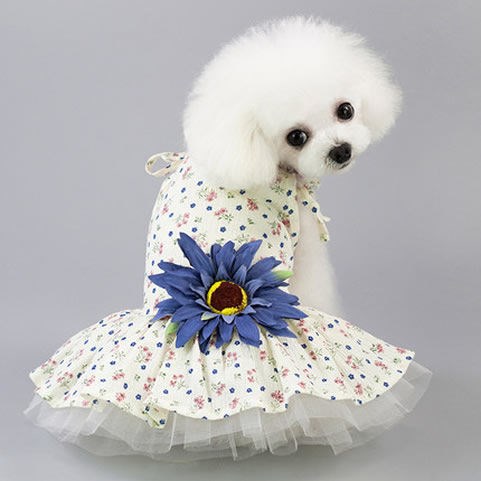 KFX-8686141 Spring and Summer Lightweight Dress for Small Dogs - Princess Style, Multiple Sizes Available