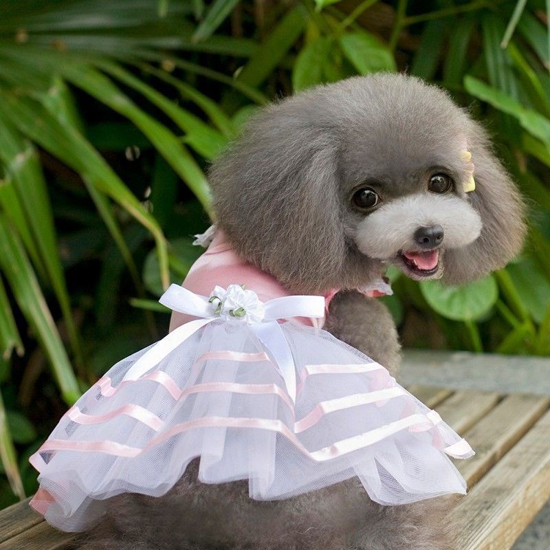 KFX-8686141 Spring and Summer Lightweight Dress for Small Dogs - Princess Style, Multiple Sizes Available