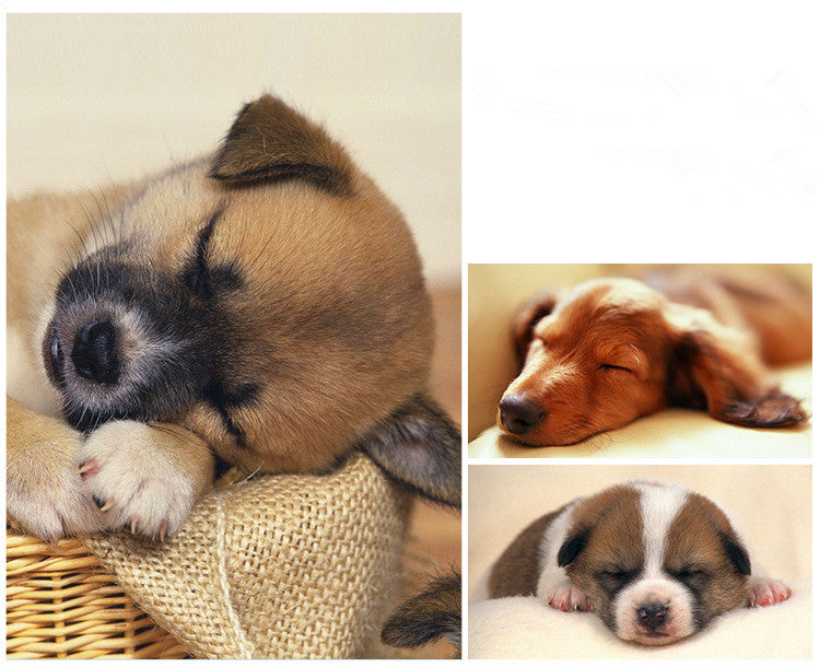 KFX-8704061 Cozy Cloth Pet Nest for Small to Medium Dogs - Available in Pink, Gray, and Blue