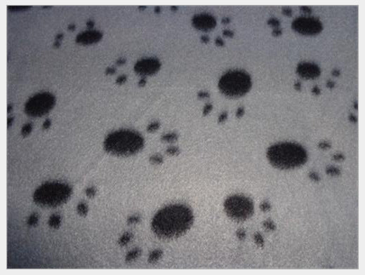 KFX-8816445 Double-Sided Pet Blanket with Paw Print Design, Soft and Durable for All Seasons