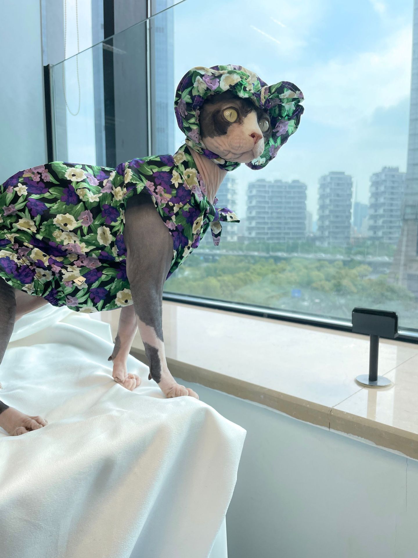 KFX-8817213 Summer Floral Cotton Dress for Sphinx Cats - Lightweight & Stylish