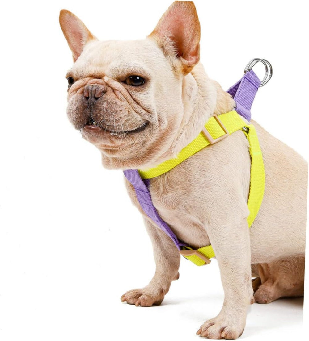 KFX-9429309 Lightweight No-Pull Dog Harness and Leash Set for Small Breeds, Ideal for French Bulldogs and Chihuahuas