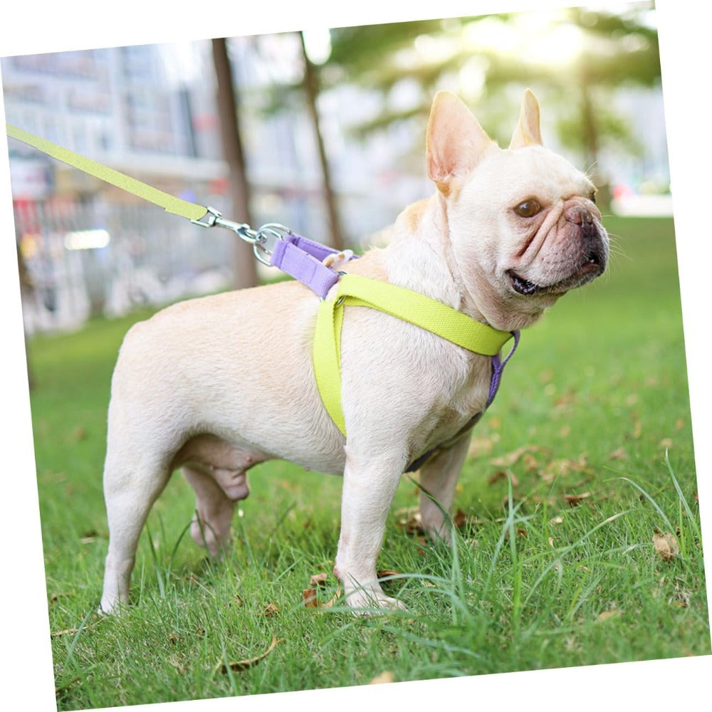 KFX-9429309 Lightweight No-Pull Dog Harness and Leash Set for Small Breeds, Ideal for French Bulldogs and Chihuahuas