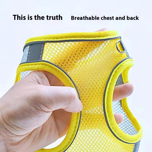 KFX-9527613 Breathable Polyester Dog Leash with Chest Strap for Small Breeds