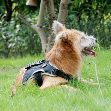 KFX-9646397 Reflective Pet Harness for Enhanced Visibility and Comfort