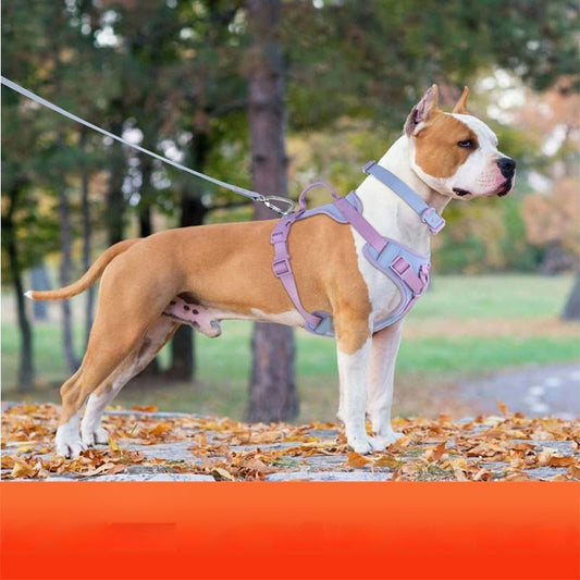 KFX-9855293 Comfortable Dog Harness and Leash Set with Adjustable Chest Strap - Multiple Colors Available